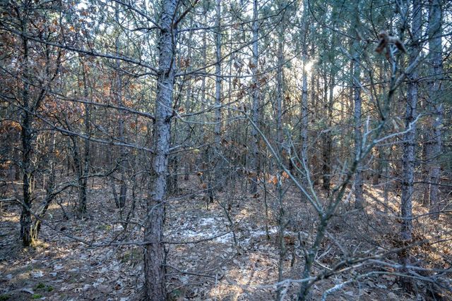 Lot 4 11th Drive, Friendship, WI 53934
