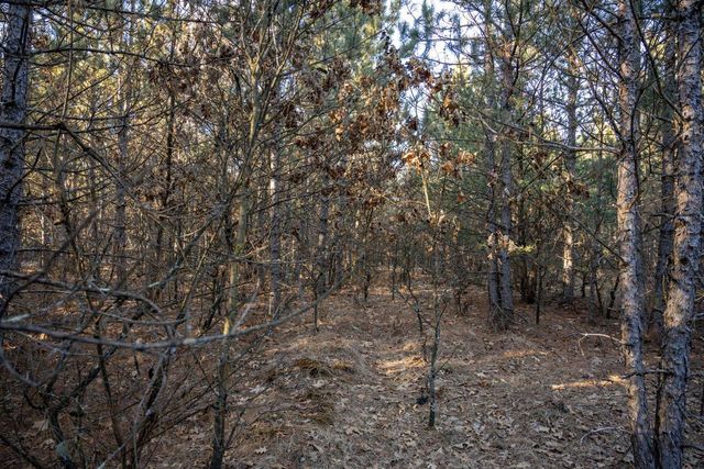 Lot 4 11th Drive, Friendship, WI 53934