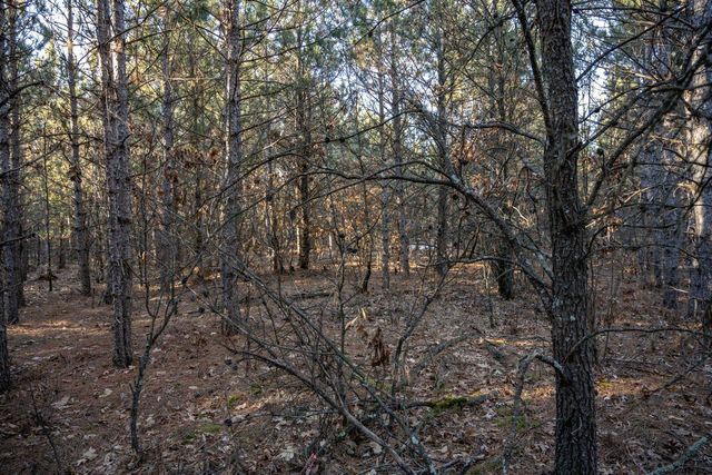 Lot 4 11th Drive, Friendship, WI 53934