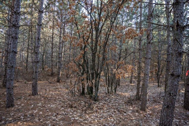 Lot 4 11th Drive, Friendship, WI 53934