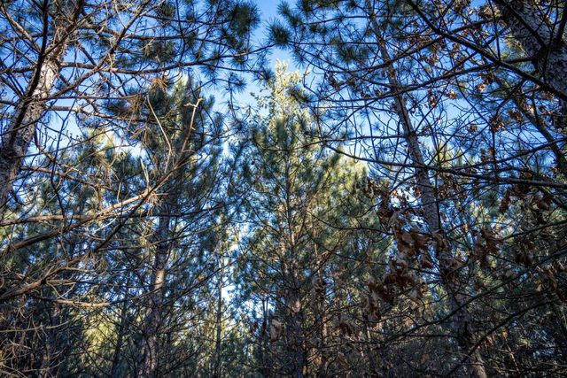 Lot 4 11th Drive, Friendship, WI 53934