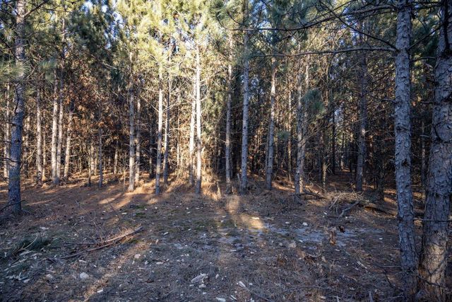 Lot 4 11th Drive, Friendship, WI 53934