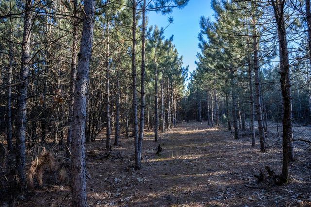 Lot 4 11th Drive, Friendship, WI 53934