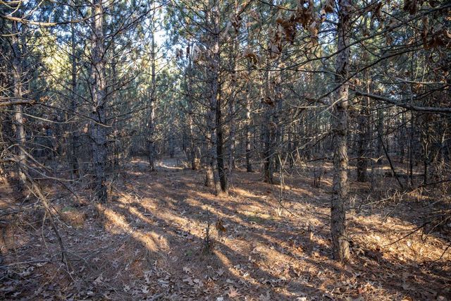 Lot 4 11th Drive, Friendship, WI 53934