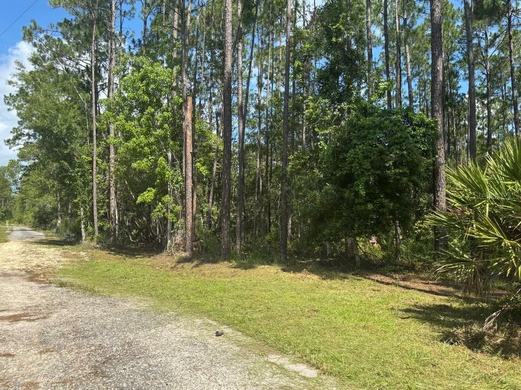 WARD STREET, Astor, FL 32102