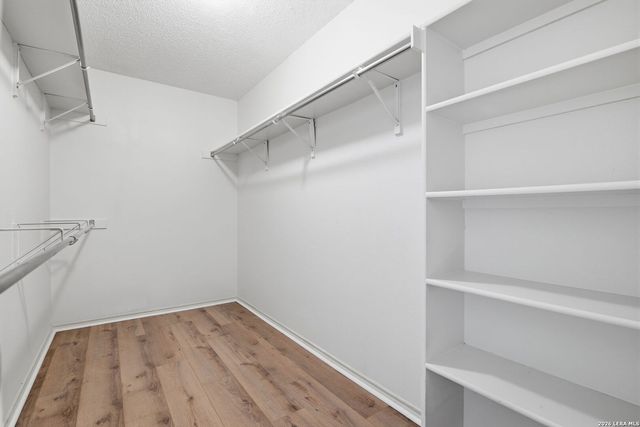 14919 Forward Pass, San Antonio, TX 78248
