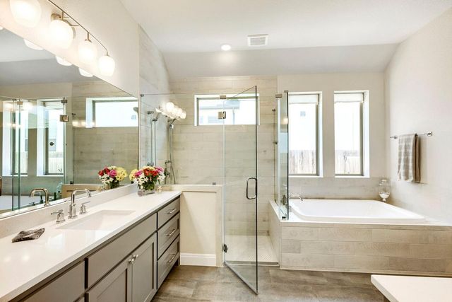 342 Bridge Water LOOP, Dripping Springs, TX 78620