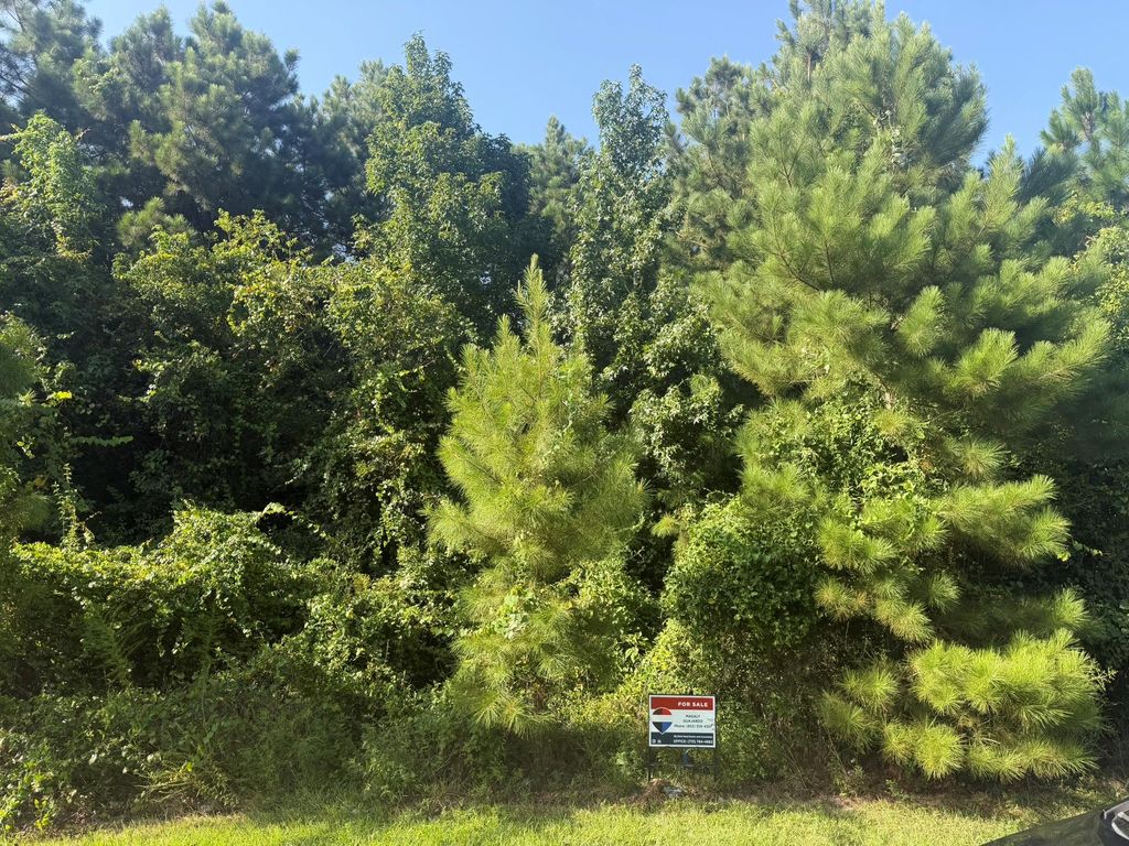 2303 County Road 3405, Cleveland, TX 77327