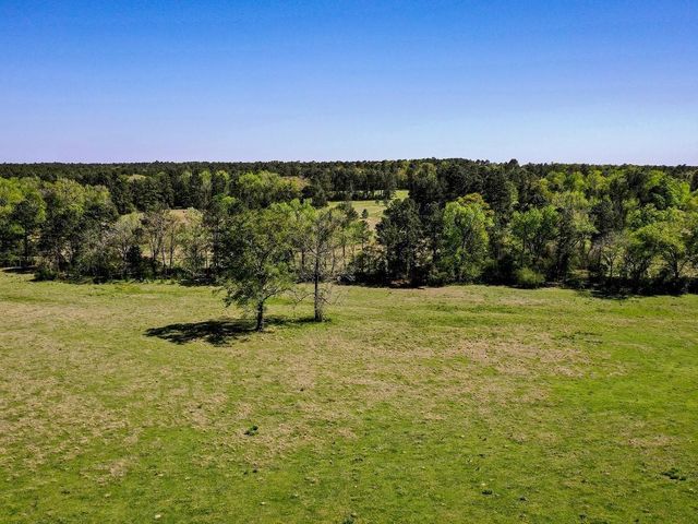 0 Black Jack Cemetery Road, Huntsville, TX 77340