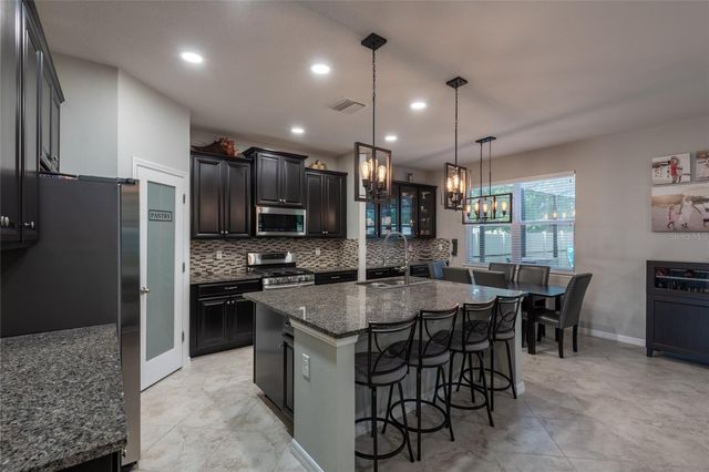 11862 LAKE LUCAYA DRIVE, Riverview, FL 33579