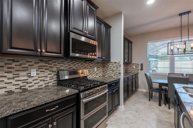 11862 LAKE LUCAYA DRIVE, Riverview, FL 33579