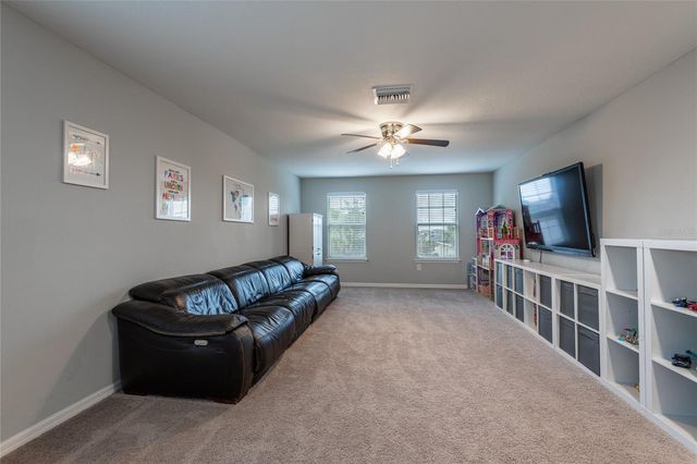 11862 LAKE LUCAYA DRIVE, Riverview, FL 33579