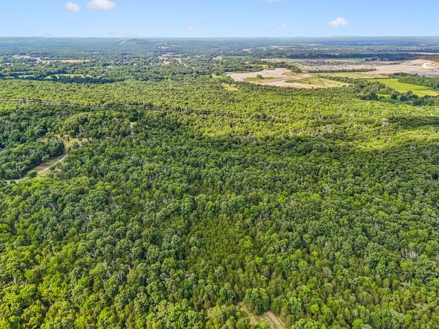 0 Newman Rd, Rockvale, TN 37153