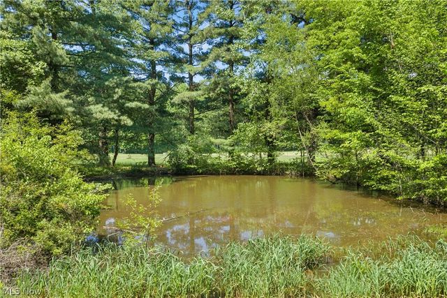 568 W Nimisila Road, Akron, OH 44319