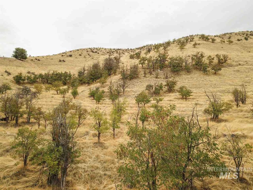 5432 W Hill Road, Boise, ID 83703 photo 12