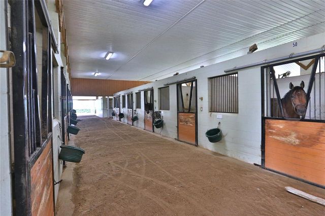 19431 NE 17TH PLACE, Williston, FL 32696
