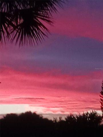 1219 HUNTINGTON GREENS DRIVE, Sun City Center, FL 33573