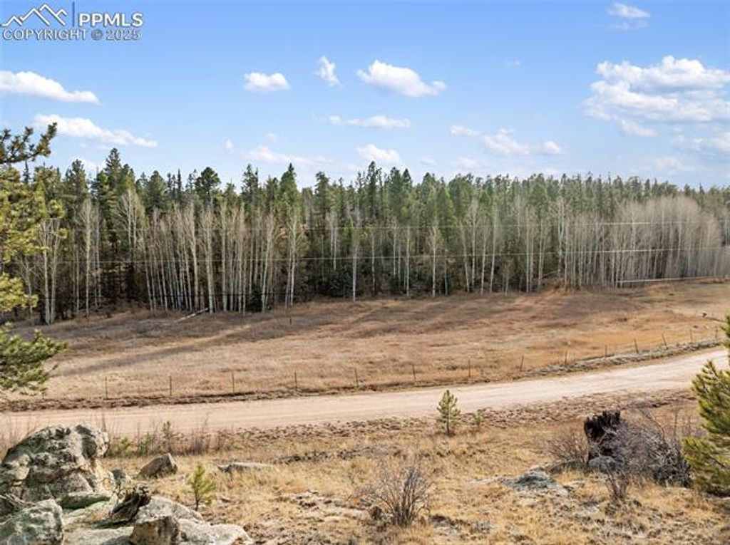 263 Valley Drive, Lake George, CO 80827 — photo 2
