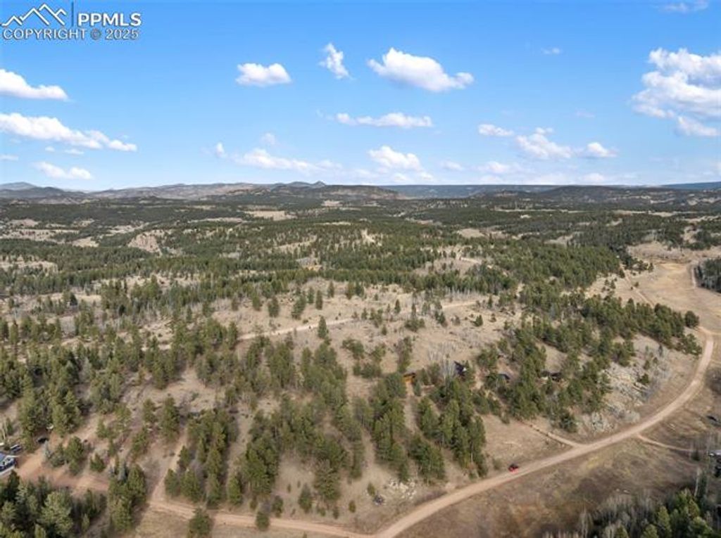 263 Valley Drive, Lake George, CO 80827 — photo 4