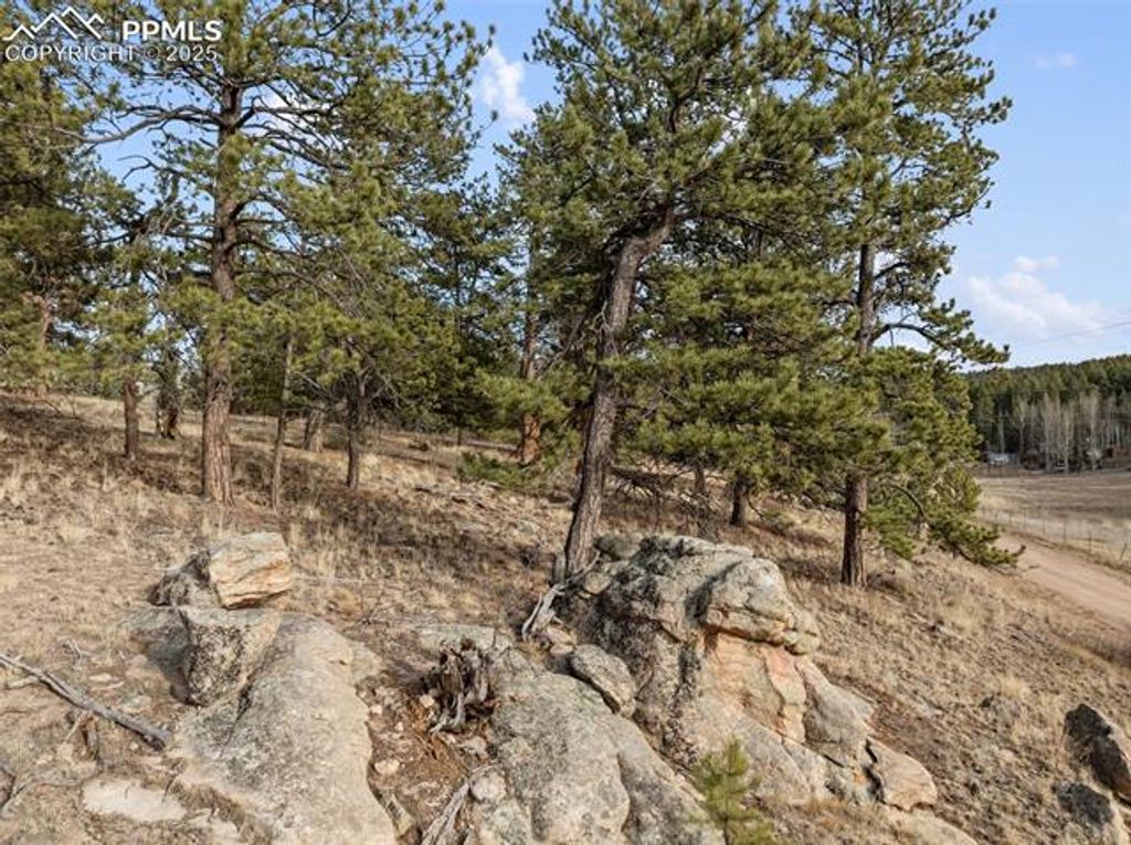 263 Valley Drive, Lake George, CO 80827 — photo 5