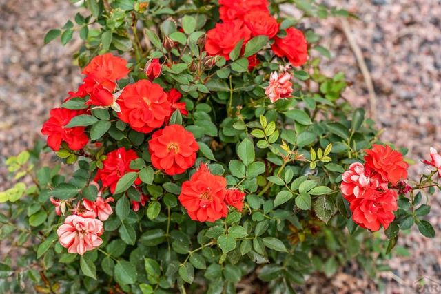 4212 Getaway Place, Pueblo, CO 81008