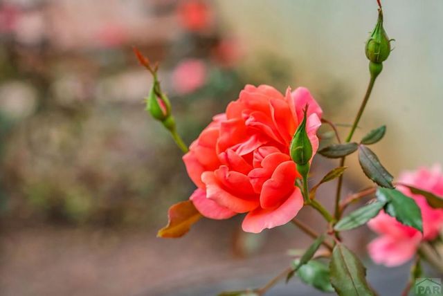 4212 Getaway Place, Pueblo, CO 81008