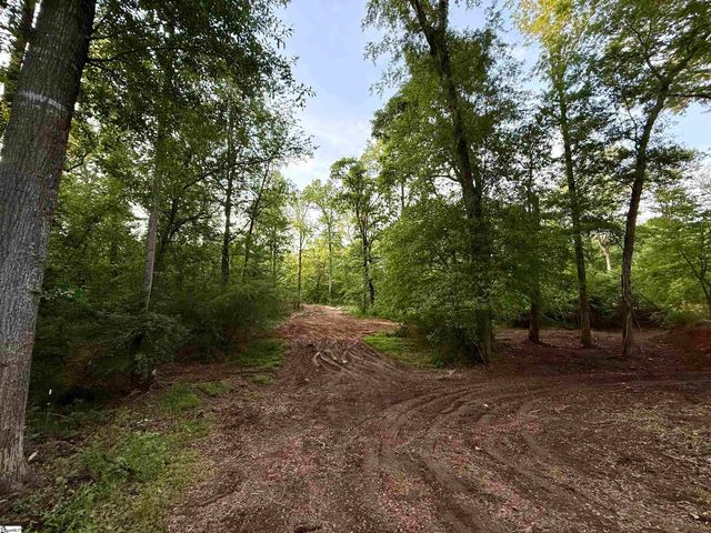 202 Randolph Court, Woodruff, SC 29388