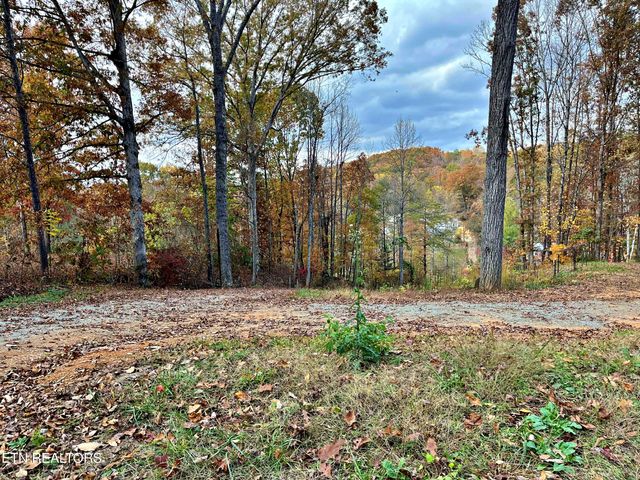 575 JD Walden Road, Ten Mile, TN 37880