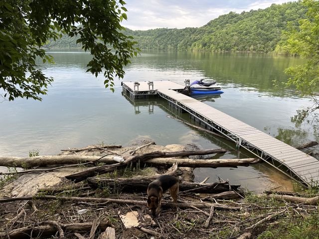 551 Askin Ln, Baxter, TN 38544