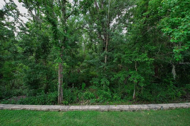 5050 SILVER CHARM TERRACE, Wesley Chapel, FL 33544