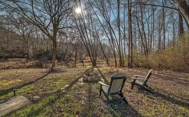 141 Mountain Rivers Road, Mineral Bluff, GA 30559