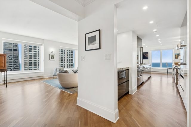 161 E Chicago Avenue 38A, Chicago, IL 60611