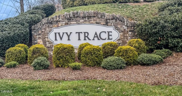 Lot 49 English Ivy Trail, Jonesborough, TN 37659
