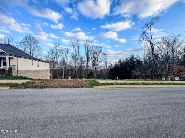 Lot 49 English Ivy Trail, Jonesborough, TN 37659