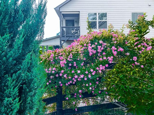 155 Alder Landing N, Dallas, GA 30132