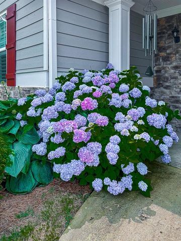 155 Alder Landing N, Dallas, GA 30132