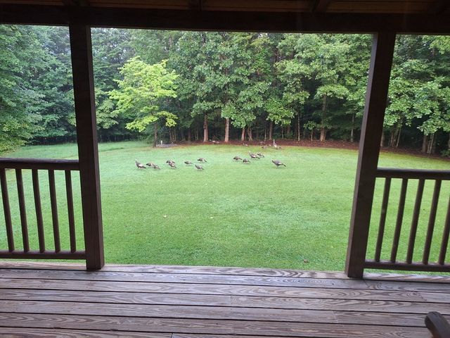 146 Sparkmantown Rd, Rock Island, TN 38581