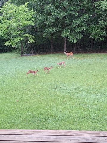 146 Sparkmantown Rd, Rock Island, TN 38581