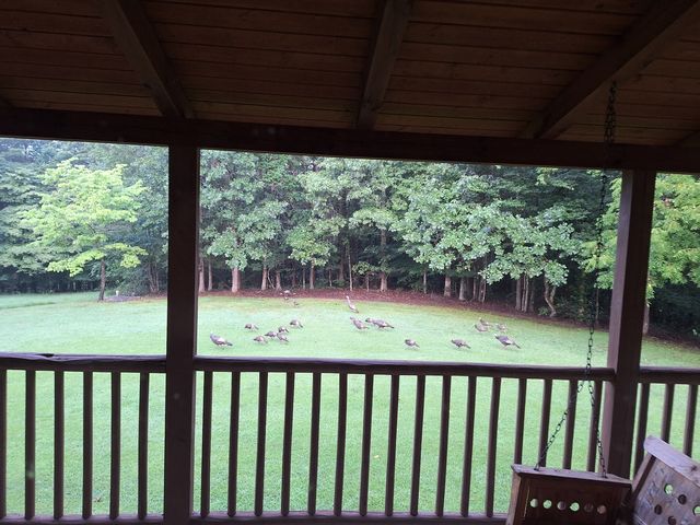 146 Sparkmantown Rd, Rock Island, TN 38581