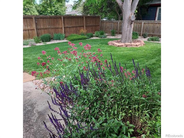 720 Ponderosa Drive, Fort Collins, CO 80521