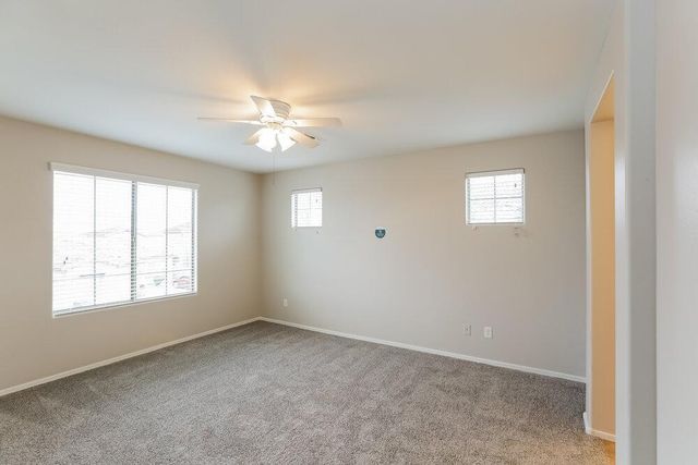 5005 W Fawn Drive, Laveen, AZ 85339