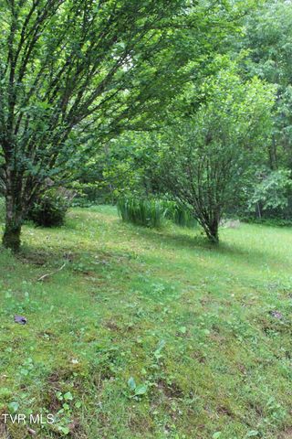 2967 Left Poor Valley Road, Pennington Gap, VA 24277