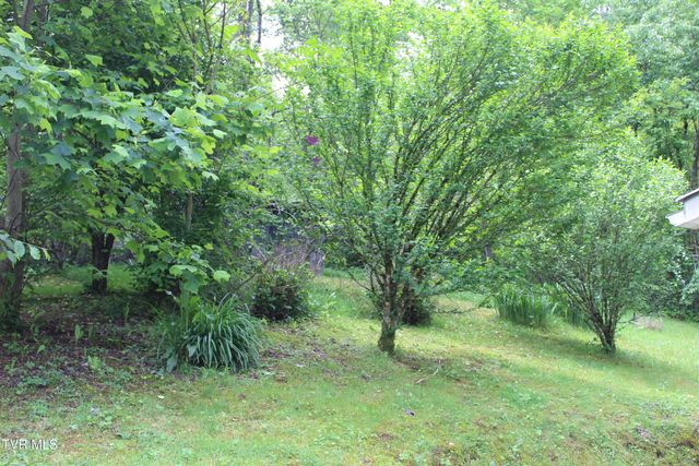 2967 Left Poor Valley Road, Pennington Gap, VA 24277