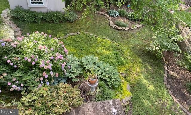 3814 ELBERT AVE, Alexandria, VA 22305