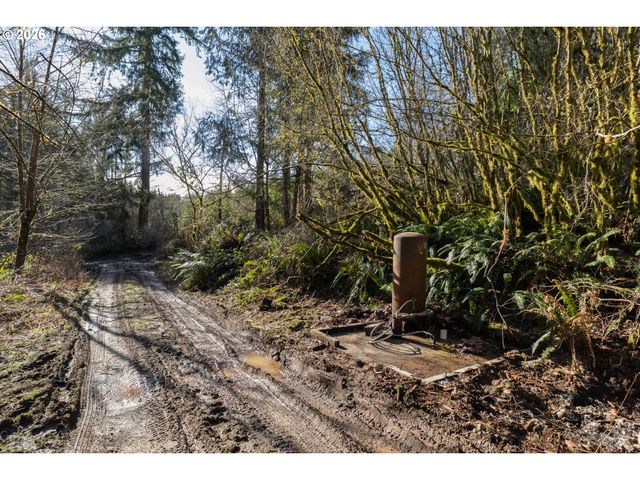 71909 APIARY Rd, Rainier, OR 97048