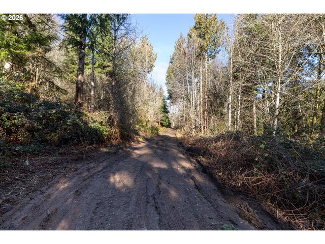 71909 APIARY Rd, Rainier, OR 97048