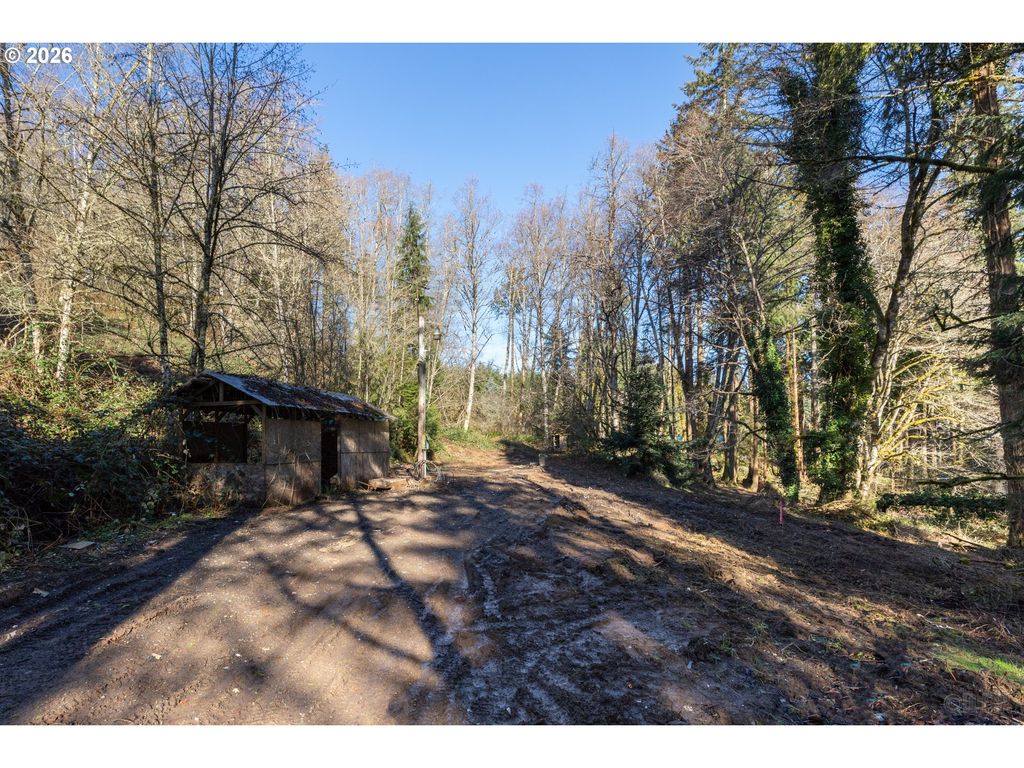 71909 APIARY Rd, Rainier, OR 97048