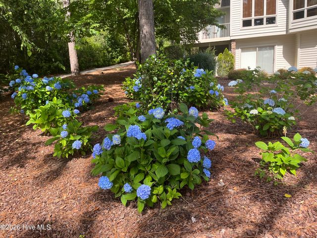 15 Shenecossett Lane, Pinehurst, NC 28374