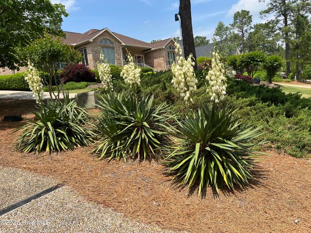 15 Shenecossett Lane, Pinehurst, NC 28374