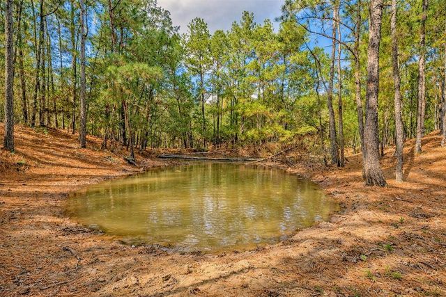 157 Oates Brothers Road, Trinity, TX 75862